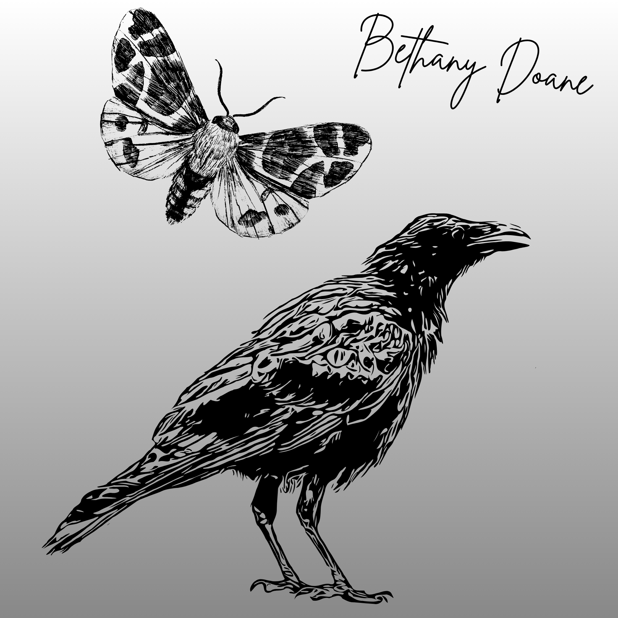 a moth and a crow